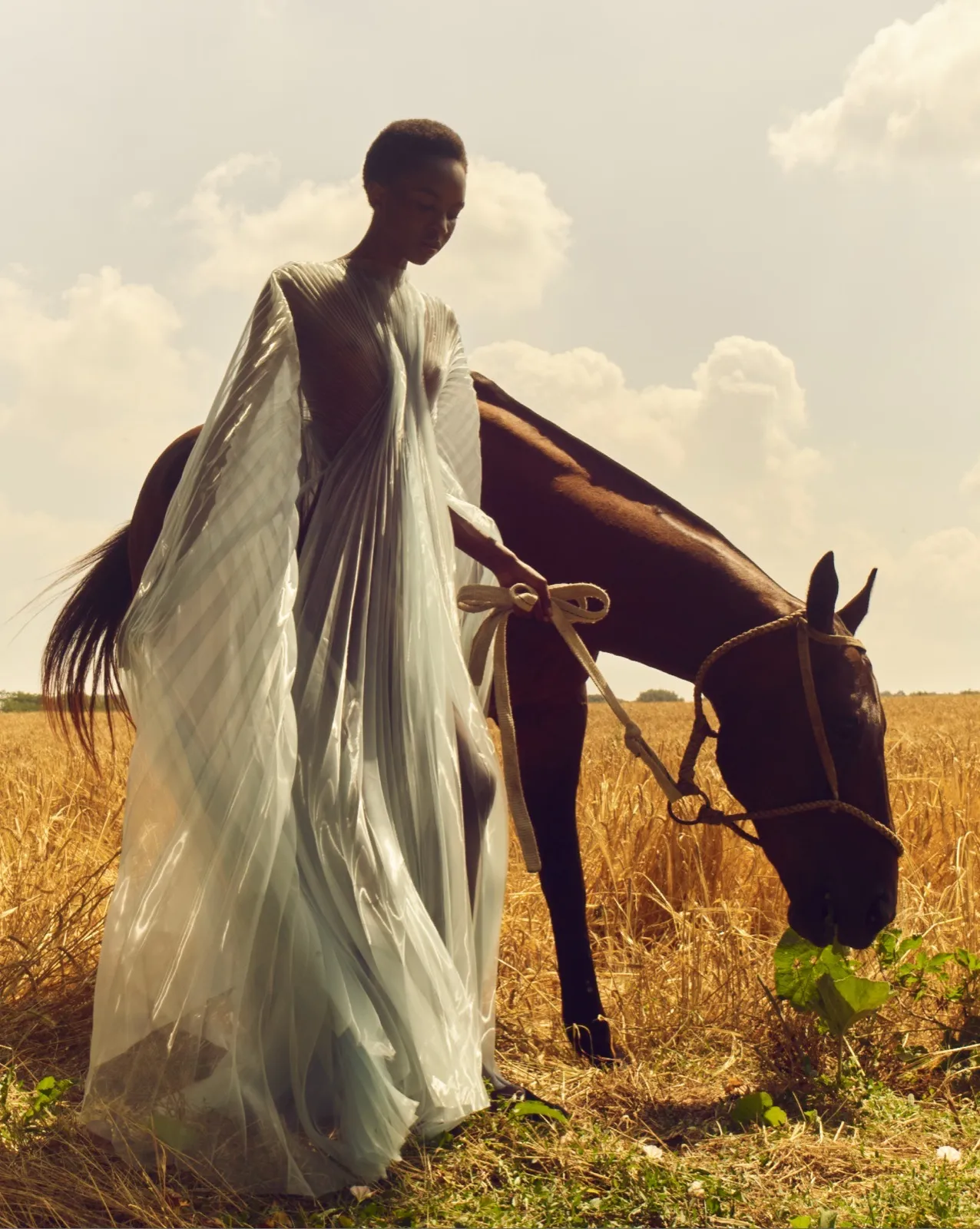 FAZ Couture